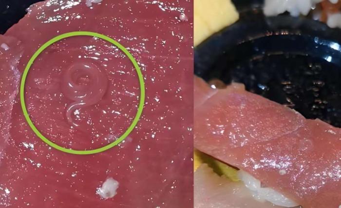 生 魚 片 寄生 蟲​