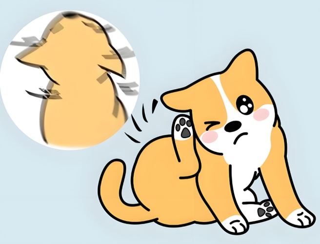 耳疥蟲症狀 耳疥蟲症狀