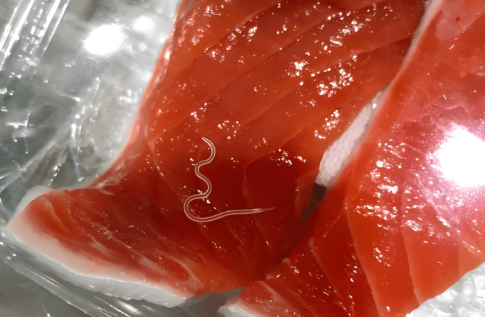 生魚片寄生蟲​