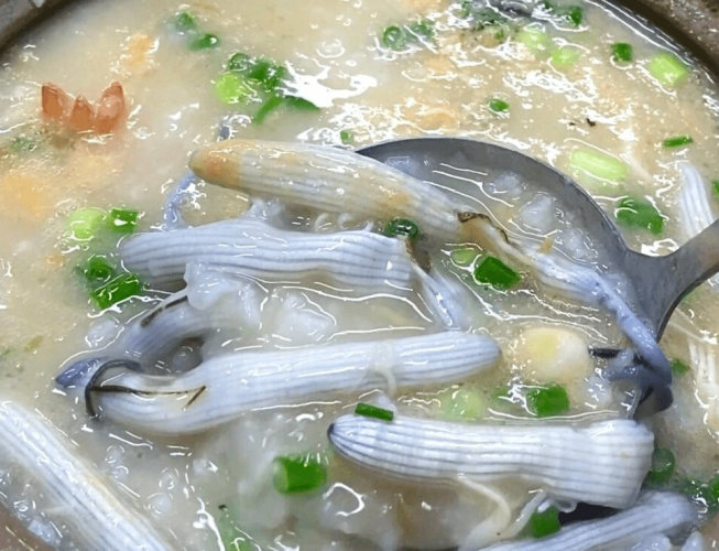 沙蟲繁殖情況